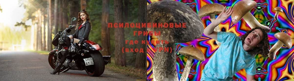 каннабис Волоколамск