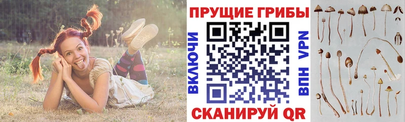 Псилоцибиновые грибы прущие грибы Заинск